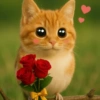Meowl Michi cute 🥺🩷✨ 5