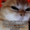 ODIO LAS MENTIRAS, odio que me oculten cosas, odio sospechar y terminar acertando