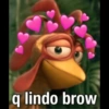 q lindo brow