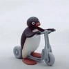 Pingu. | @ocenferios  Haki. 7