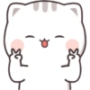Kucing gemoy 13