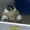 Macaquinhos  13
