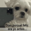 Stickers para Todo Momento 2 9