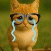 Meowl Michi cute 🥺🩷✨ 16
