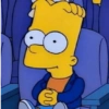 Os Simpsons 14