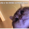 No me dejes en visto 11