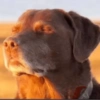 Meme de reacción de TikTok 7
