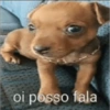 Reações 🤣 8