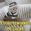 MEMES QUE DIZEM TUDO 😌 7