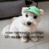 vose namoraria co migo sim ou não seja sincerao