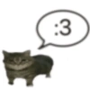 Gatitos Frases 8