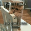 PRA QUE BRIGAR @anashfades SE A GENTE PODE FUDE?