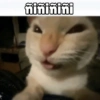 🌈🐈‍⬛✨️Gatos Funny Mood✨️🐈‍⬛🌈 26
