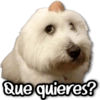 Que quieres?