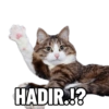 HADIR.!?
