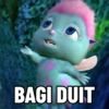 BAGI DUIT
