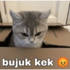 1227220810 bujuk kek