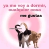 ya me voy a dormir, cualquier cosa me gustas @melody.triste