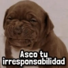 Asco tu irresponsabilidad