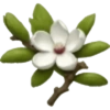 Spring emoji iPhone🌺 21