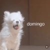 @memercela domingo