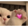 REAJA COM AMOR ❤️ 13