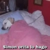 MEMES RANDOM PARTE 80 13