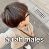 au ah males