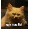 Yukki - kucing tengil pt.1 28