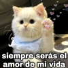geysiov siempre serás el amor de mi vida