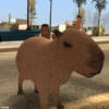 GTA SA 25