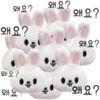 SKZOO ATE EMOTICON 1 7