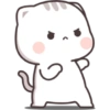 Kucing gemoy 6