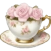 Spring emoji iPhone🌺 17