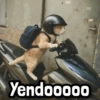 C dim tai ADV Yendooooo
