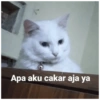 Stiker 4.5 7