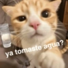 Bichito Love ya tomaste agua?