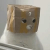 Gatitos cura Depresión😸😽 10