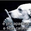 é pra apanhar e ficar calado