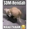 Kucing langor 22