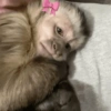Macacotes 9