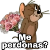 geysioy Me perdonas?