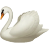Emoji iphone white  12