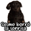 Se me borró la sonrisa