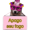 Placas de carnaval quente🔥🔥 12