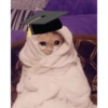 MEME WISUDA LIDI & KUCING🎓 11