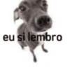 CONTÉM IRONIA 17