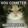 GATINHOS SHITPOST  9