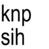 knp sih