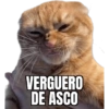 🤑 memez 🤑 6
